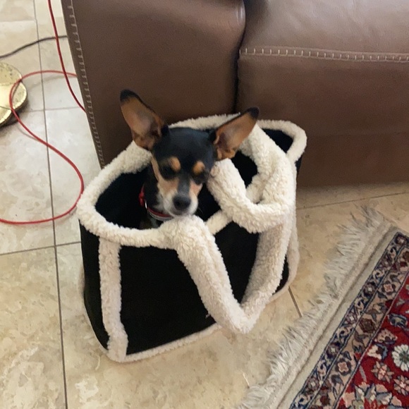 Meet your shopper n posher - Picture 12 of 16